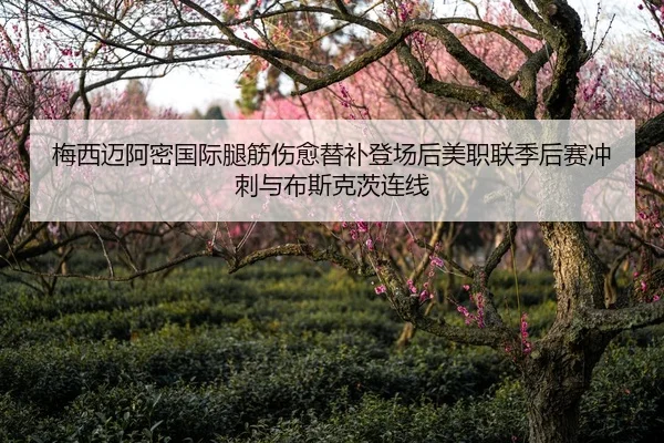 梅西迈阿密国际腿筋伤愈替补登场后美职联季后赛冲刺与布斯克茨连线